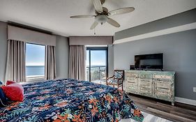 South Wind -402